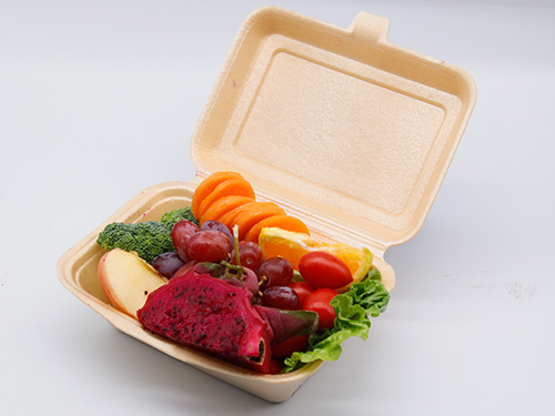 生物可降解塑料对可降解餐盒的作用